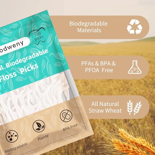 Biodegradable Dental Floss Picks 300 Count - Vegan Plant-Based Eco-Friendly Oral Care for Kids & Adults - Codweny