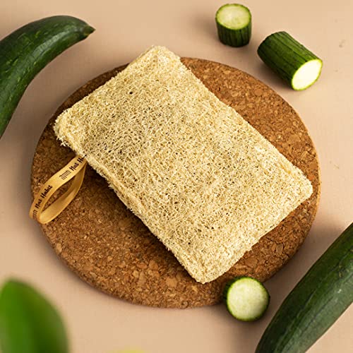 Nat Habit Natural Sun Dried Bath Loofah - Exfoliating Body Sponge (2 Pack)