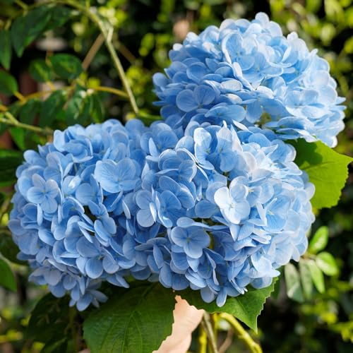 20-Inch Light Blue Artificial Hydrangea Flowers - 3 Pcs Real Touch