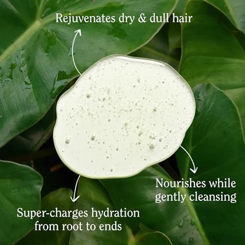 California Naturals Super Moisture Shampoo for Dry Hair - 20 fl oz