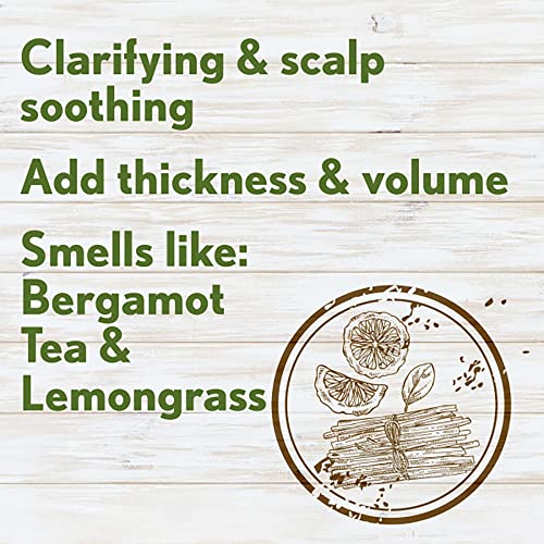 Aveeno Fresh Greens Sulfate-Free Shampoo & Conditioner Set 12oz Pack of 2 for Fine Hair
