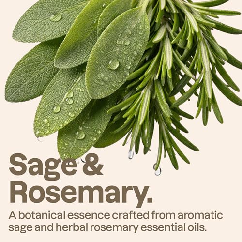 ATTITUDE Volumizing Shampoo - Sage & Rosemary, 16 Fl Oz, EWG Verified