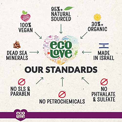 ecoLove Vegan Liquid Hand Soap, Blueberry & Lavender, 17.6 oz