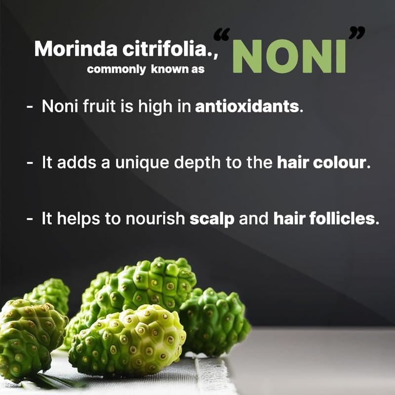 BSY Noni Black Hair Magic Dye Shampoo - 5-Minute Instant Gray Coverage