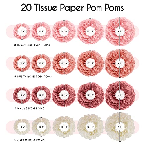 20 Piece Tissue Paper Pom Poms - Blush Pink, Mauve & Cream Party Decor