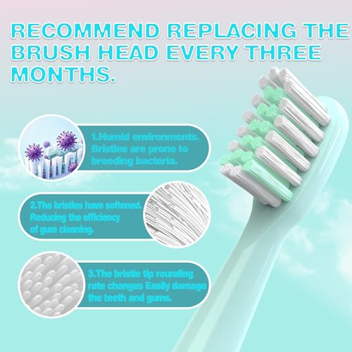 YMPBO Toothbrush Replacement Heads for Vekkia Kids - Blue Dragon Model