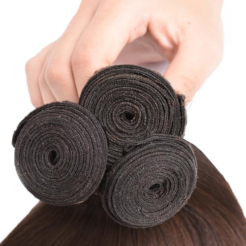 Aonbamds 3 Bundles Human Hair Extensions Brown Straight 12-16 Inch Virgin Brazilian