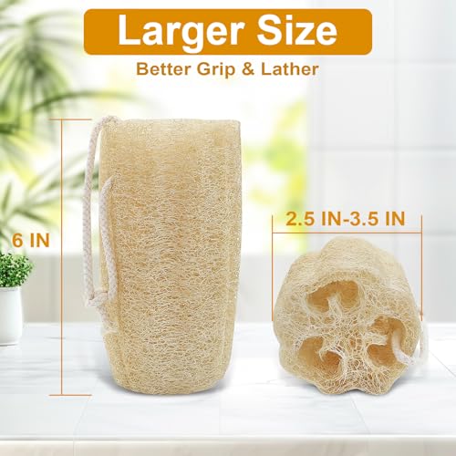 Organic 6" Natural Loofah Sponge Set (2 Pcs) - Eco-Friendly Exfoliating Body Scrubber