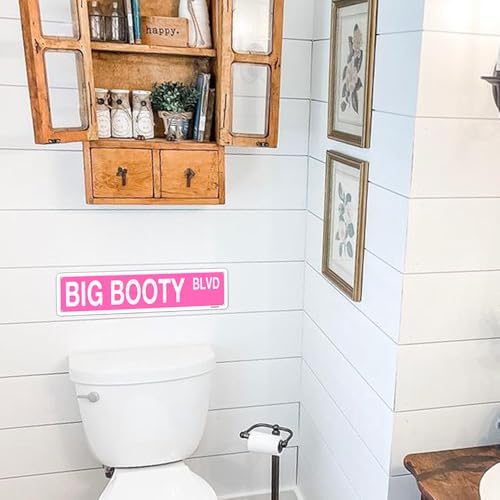 Funny Pink Big Booty Blvd Metal Sign - 16x4 Inch Wall Art