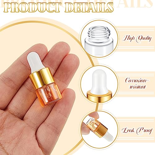 Didaey 1ml Champagne Gold Mini Glass Oil Dropper Bottles Set of 100