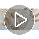 CISDUEO 120pcs Dried Bunny Tails Flowers for Boho Decor