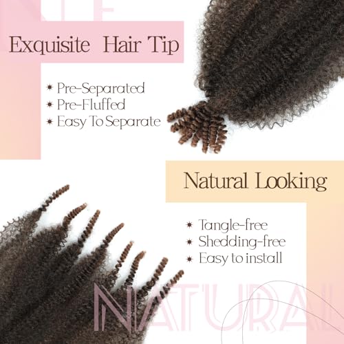 Angels Beauty 24 Inch Spring Afro Twist Hair - Pre-Separated T30 (6 Packs)