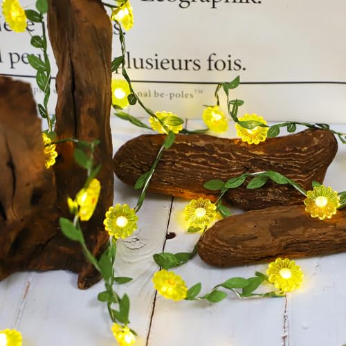 Flower String Lights with Remote Control - 30 LED Copper Wire Fairy Lights