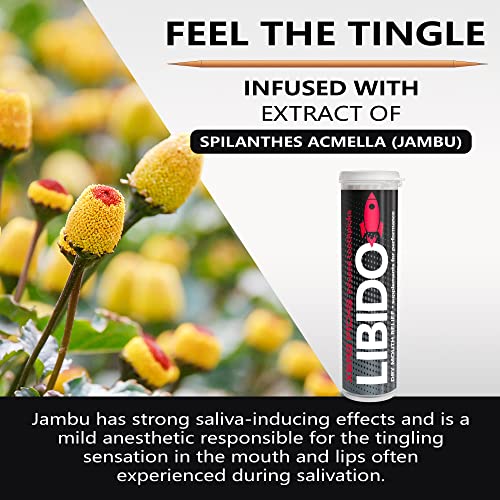 Xero Picks Strawberry Infused Toothpicks - 3 Pack for Fresh Breath