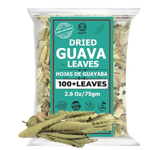 Dried Guava Leaves Tea - 100+ Natural, Caffeine-Free Herbal Infusion