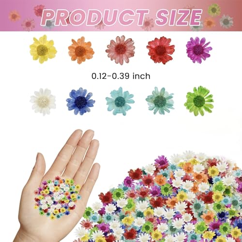 800 PCS Mini Dried Pressed Flowers for Crafting | Natural Real Flowers with Tweezers