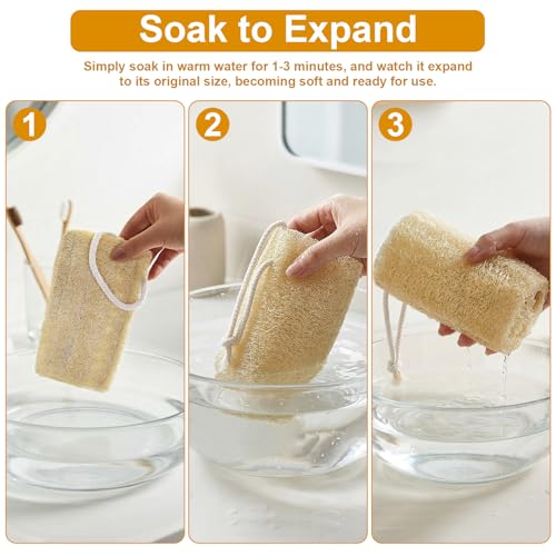 Organic 6" Natural Loofah Sponge Set (2 Pcs) - Eco-Friendly Exfoliating Body Scrubber