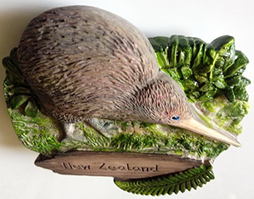 Handmade 3D Kiwi New Zealand Fridge Magnet - Thai Craft
