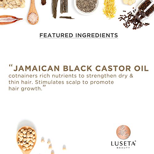 Luseta Jamaican Black Castor Oil Shampoo 16.9oz - Strengthen & Restore Dry Hair, Pack of 1