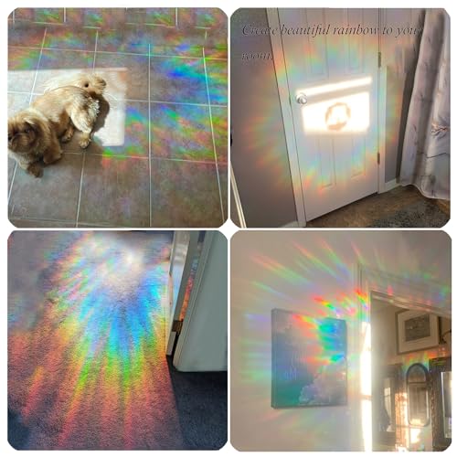Bird Safety Window Clings - Prismatic Anti-Collision Decals