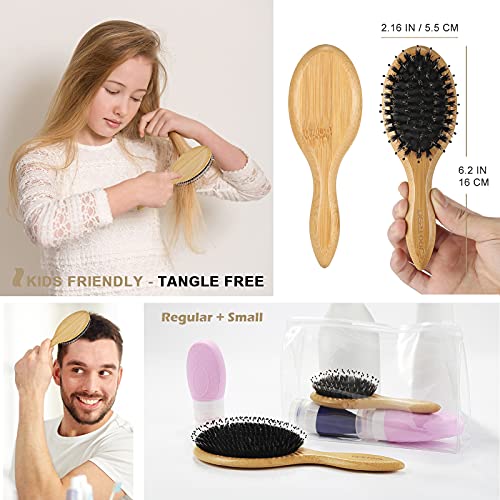 Boar Bristle Hair Brush for Detangling & Smoothing - Regular & Small Sizes