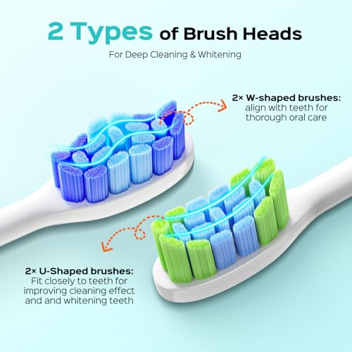 COSLUS C30 Sonic Electric Toothbrush Replacement Heads, 6 Soft Green Heads