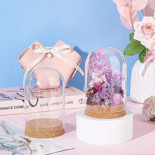 BENECREAT Set of 2 Glass Display Domes with Cork Base - 3.14x4.6 inch Cloche Jars for Flowers & Crafts