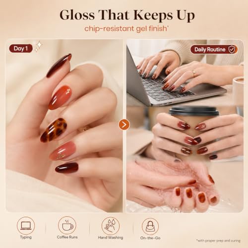 Beetles Fall Gel Nail Polish Set D - Brown-06 | 6 Tortoise Jelly Shades