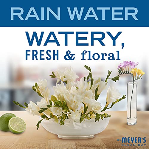Mrs. Meyer's Clean Day Rain Water Bar Soap - 5.3 oz, Body & Hand Wash