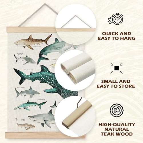Supwhd Shark Wall Art with Wooden Frame - 12x16 Ocean Decor