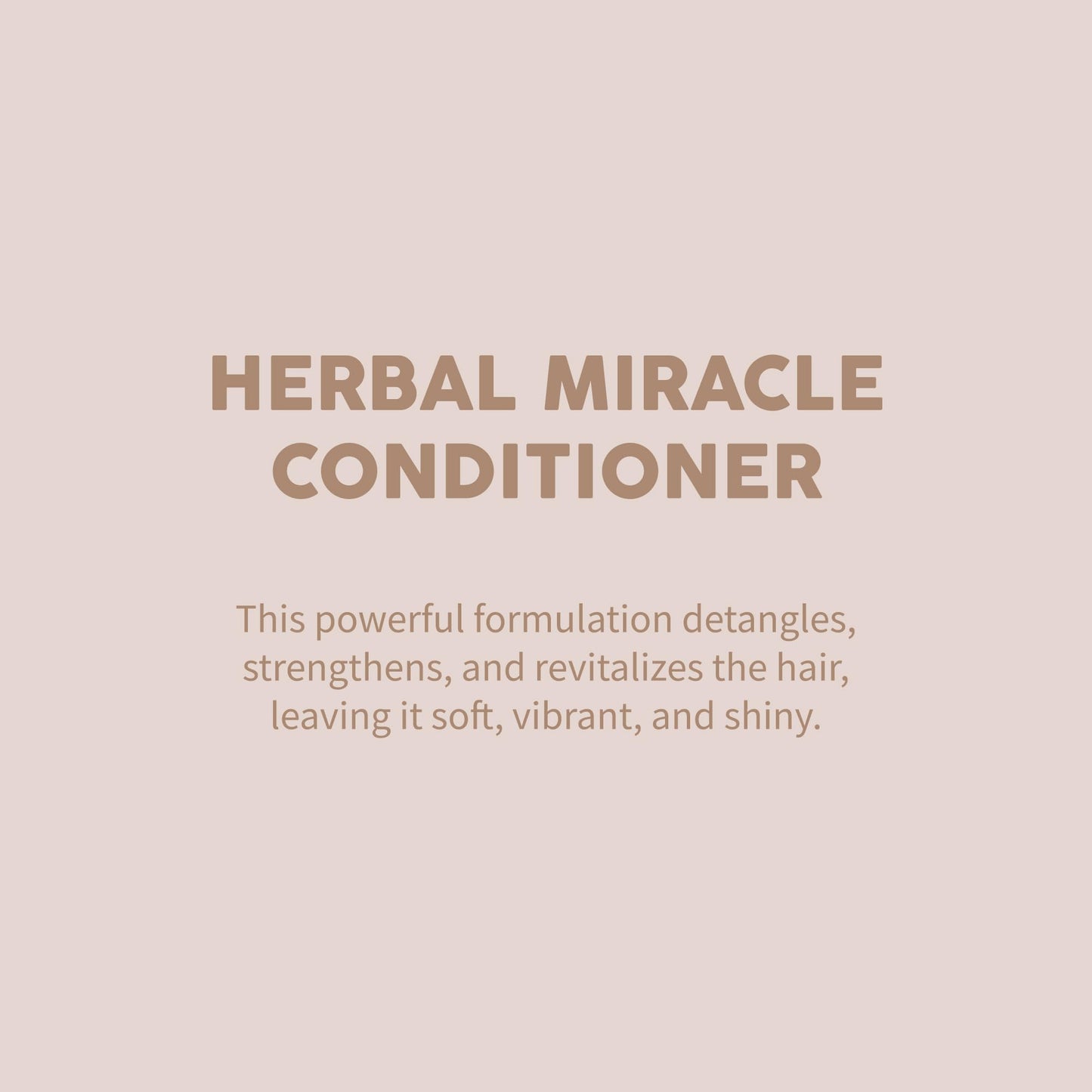 Herbal Miracle Conditioner – Hydrating & Detangling Hair Conditioner – Strengthens, Repairs & Reduces Hair Loss – With Rosemary, Rice Extract & Amino Acids – Anti-Frizz & Smooth Finish