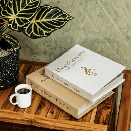 Faux Decorative Coffee Table Books Set of 2 - Linen Storage Box