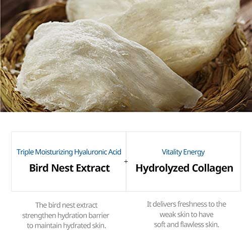 JMsolution Bird's Nest Moisture Mask - 10 Sheets for Deep Hydration