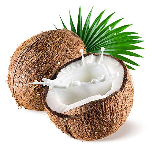 US Organic Fractionated Coconut MCT Oil - 8 Fl Oz - USDA Certified Organic Carrier Oil for Skin & Hair