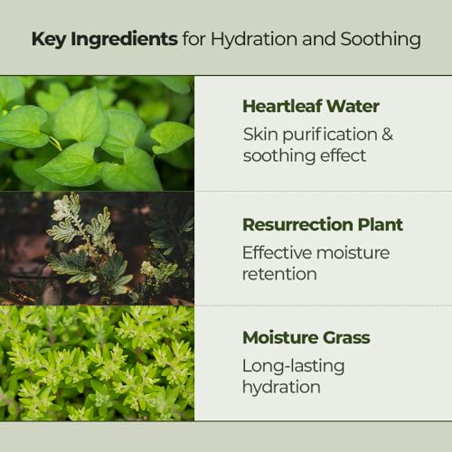 JMsolution Heartleaf Cleansing Foam for Acne-Prone Skin, Deep Micro-Cleansing with Salicylic Acid & Tea Tree, 5.07 fl oz