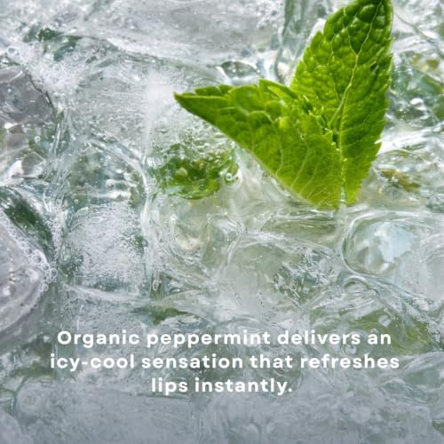 Project Reef Herbal Peppermint Lip Balm 2 Pack - Hydrating Organic Lip Care