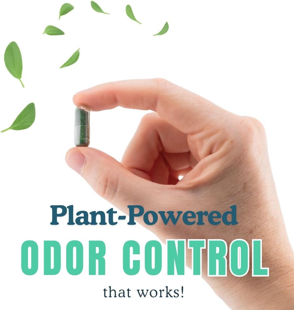 Whole Body Deodorizing Supplement - Natural Internal Deodorant for Sweat Relief | 60 Chlorophyll Capsules for Odor Control