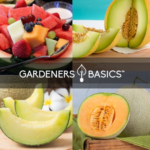 5 Variety Pack Melon Seeds - Cantaloupe, Watermelon & Honeydew