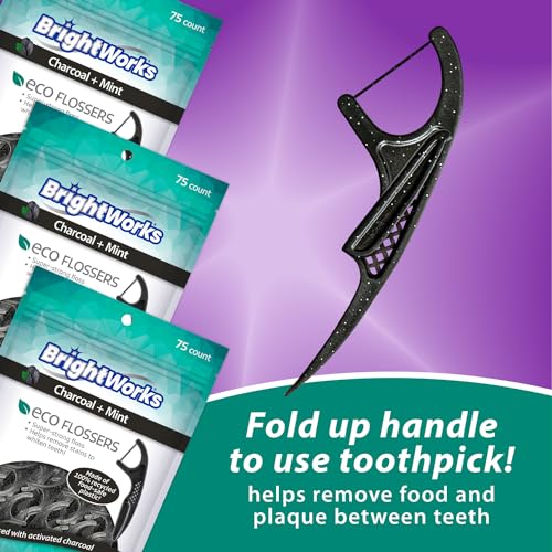 BrightWorks Eco-Friendly Charcoal Mint Floss Picks - 225 Count