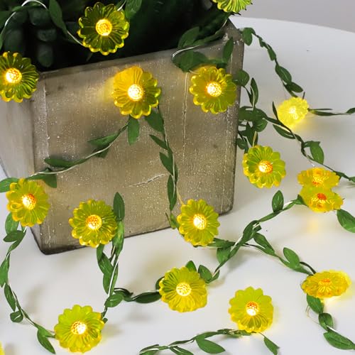 Flower String Lights with Remote Control - 30 LED Copper Wire Fairy Lights