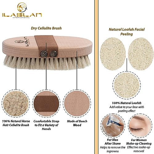 Dry Body Brush for Lymphatic Drainage & Cellulite Reduction with Natural Horse Hair & Facial Loofah Pads