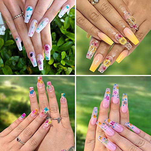 KISSBUTY Dried Flower Nail Art Kit – 2 Boxes, 24 Colors Mini Real Flowers & Leaves