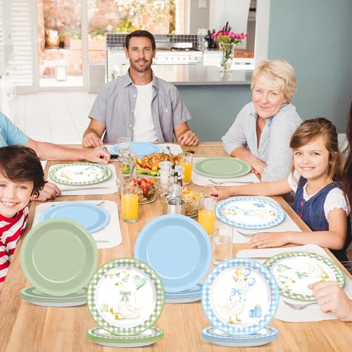 48PCS Silly Goose Party Paper Plates - 7" Birthday Tableware