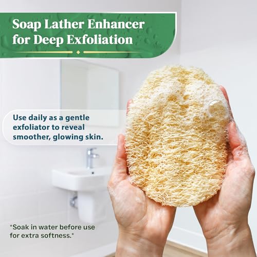 Natural Loofah Exfoliating Body Scrubber | 8 Pack Biodegradable Loufa Spa Sponge