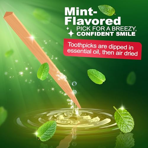 The Natural Dentist Stim-U-Dent Mint Dental Picks 1 Pack of 600 Wooden Toothpicks for Plaque Removal