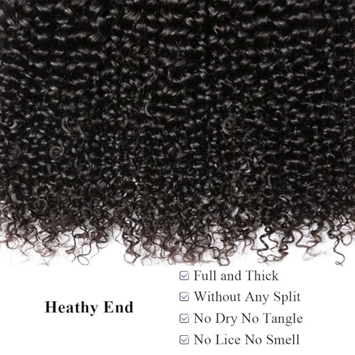 UDesire 12 Inch #1B Jerry Curly Human Hair Bundle 16A Grade Virgin Brazilian Extensions