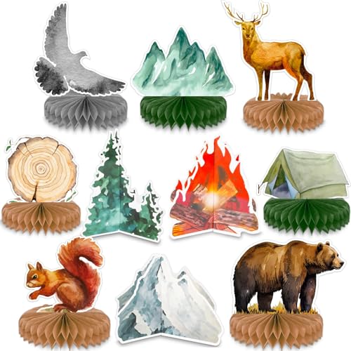 Adventure Awaits Party Decorations - 10 Honeycomb Ball Set