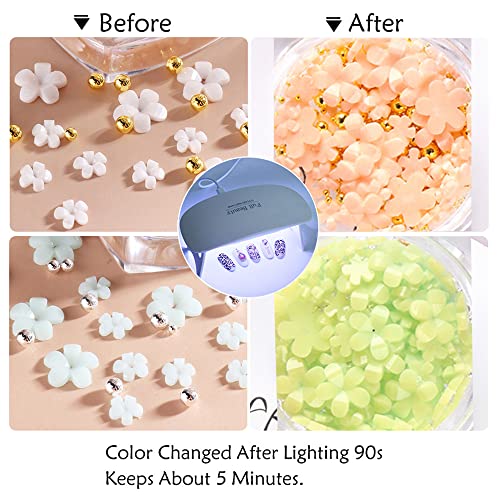3D Flower Nail Charms - 2 Boxes Mixed Cherry Blossom Decorations