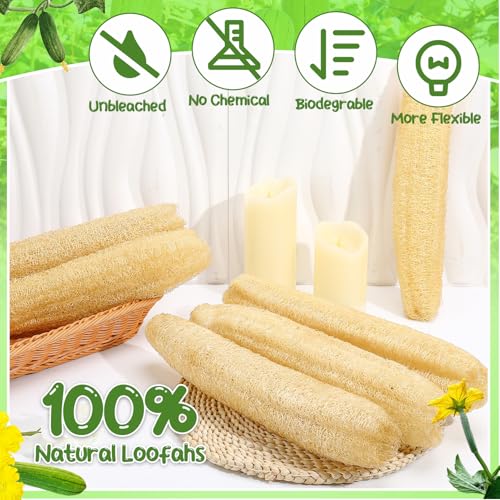 6 Pack Natural Loofah Sponges (13.8-15.7 Inch) for Kitchen & Bath