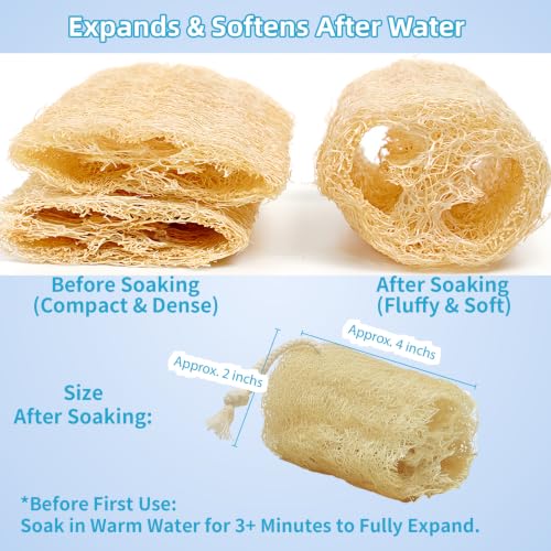 Natural Loofah Exfoliating Body Sponge - 4 Pack for Bath & Shower